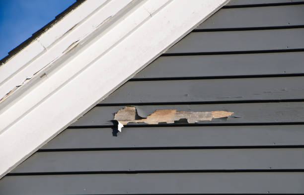 Affordable Siding Repair and Maintenance Services in Benwood, WV